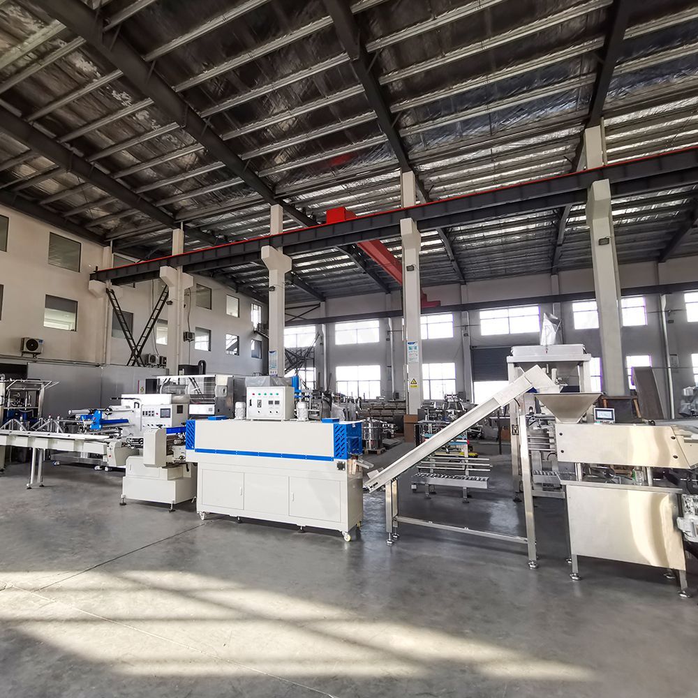 Линия по производству и упаковке таблеток для стирки